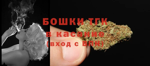 винт Каменка