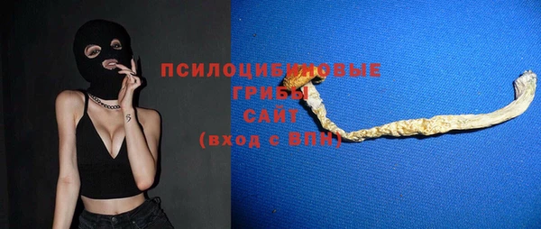винт Каменка