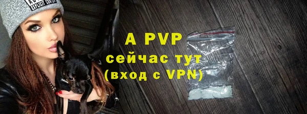 винт Каменка