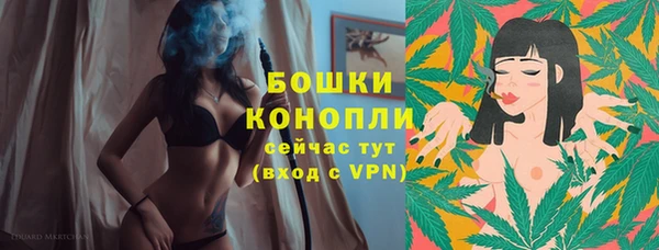 винт Каменка